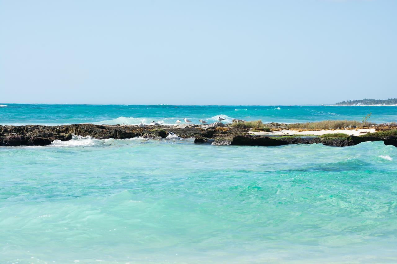 מלון טולום Caleta Tankah מראה חיצוני תמונה